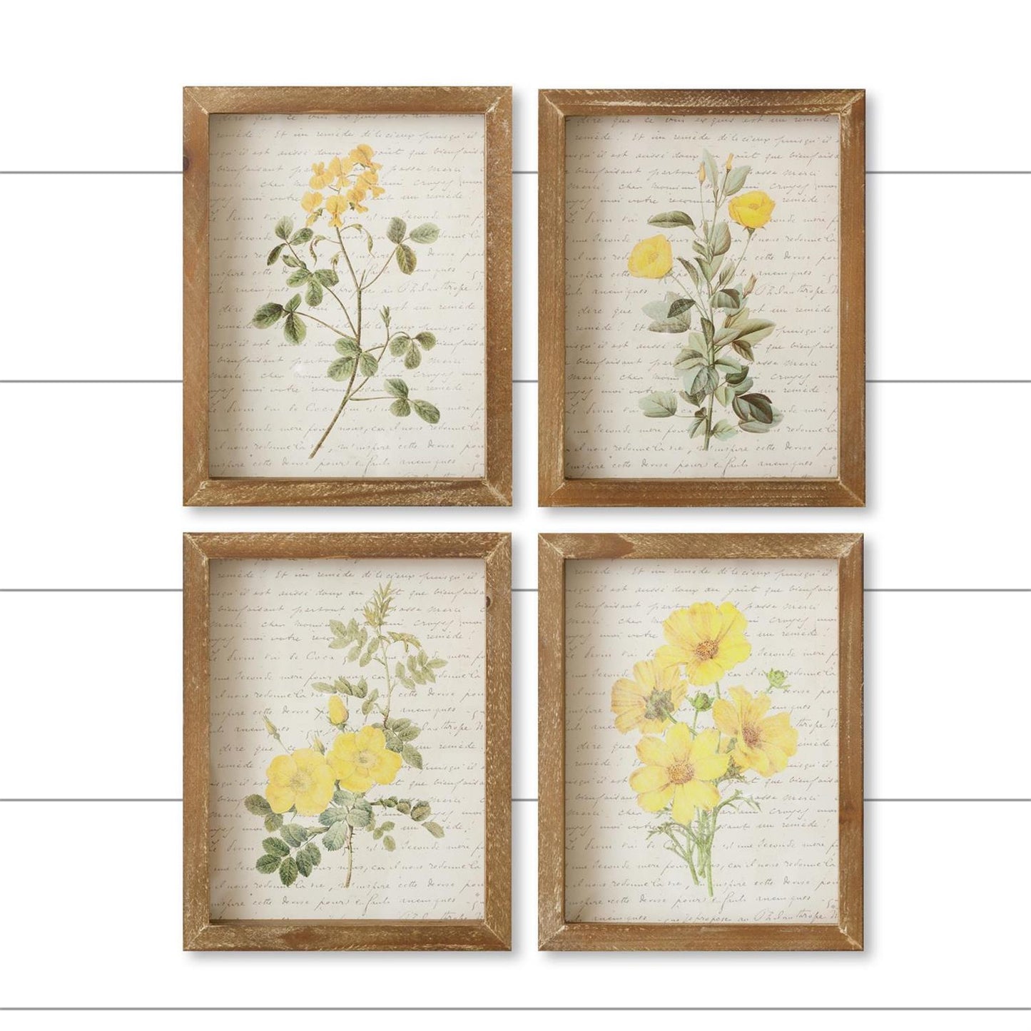 Set of 4 Framed Prints