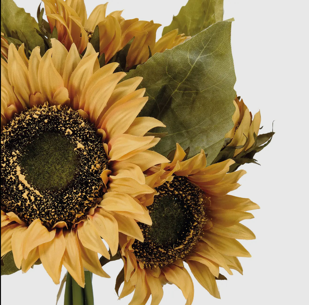 Sunflower Bunch