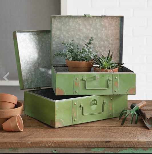 Metal Trunks (Set of 2)