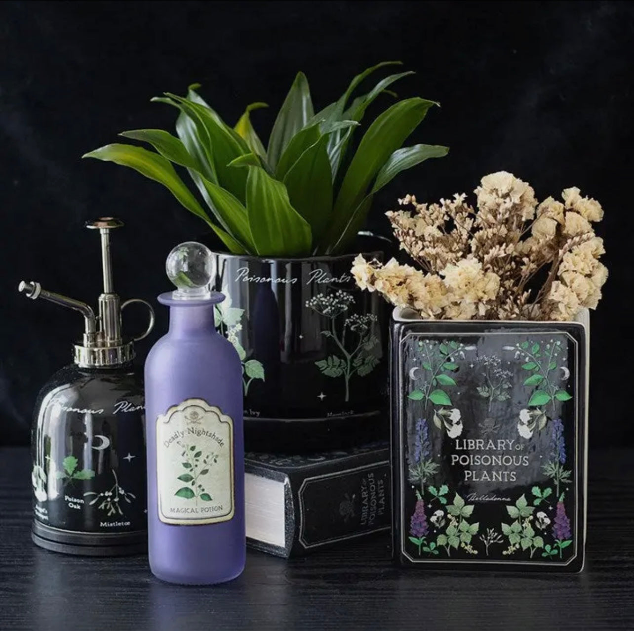 Library of Poisonous Plants | Ceramic Vase
