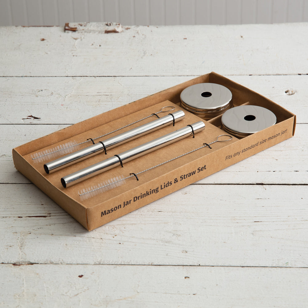 Mason Jar Drinking Straw Set