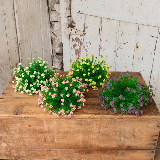 Half Sphere Phlox