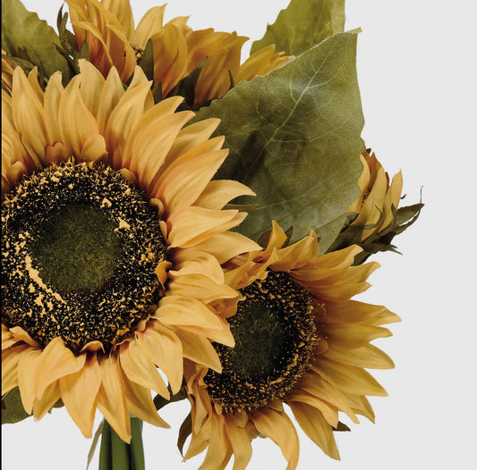 Sunflower Bunch