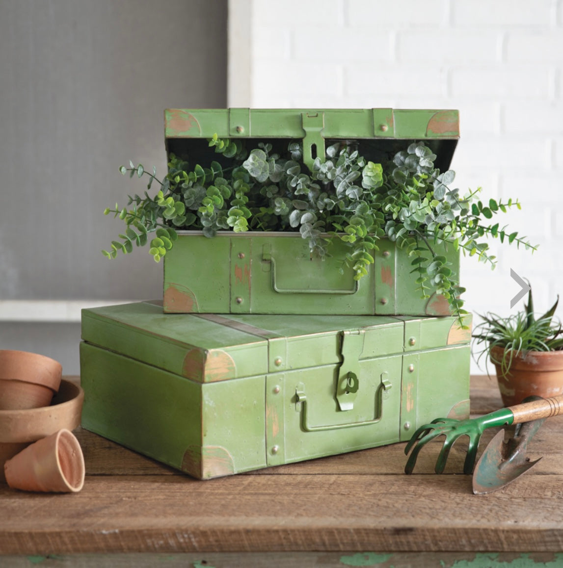 Metal Trunks (Set of 2)