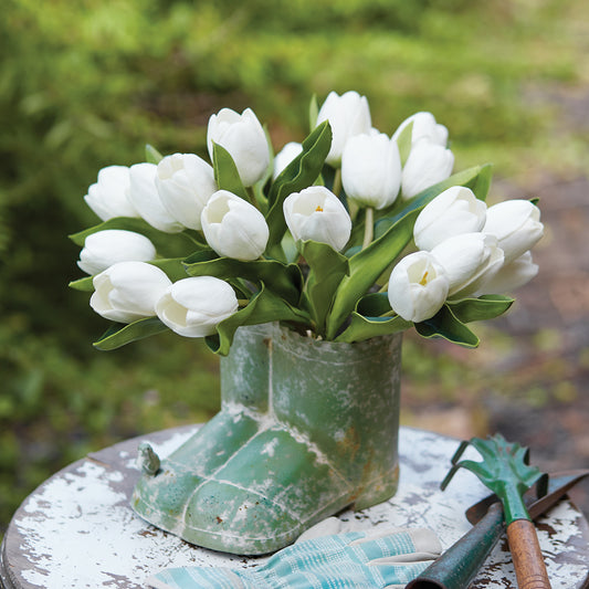 Tulip Bunch