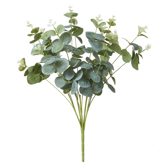Eucalyptus Spray