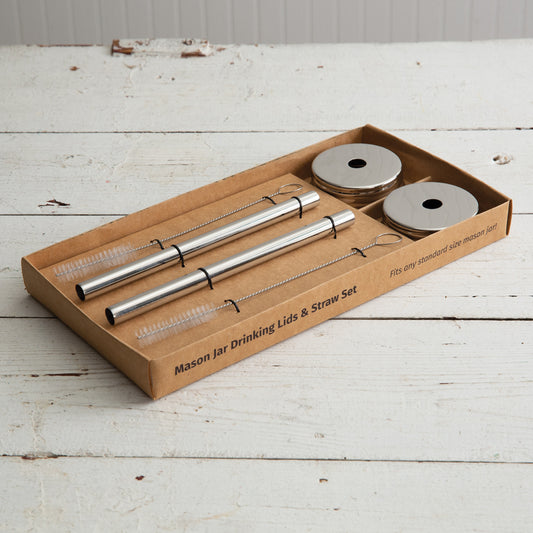 Mason Jar Drinking Straw Set